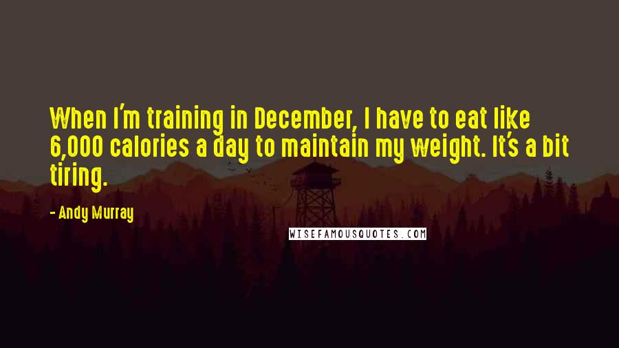 Andy Murray Quotes: When I'm training in December, I have to eat like 6,000 calories a day to maintain my weight. It's a bit tiring.