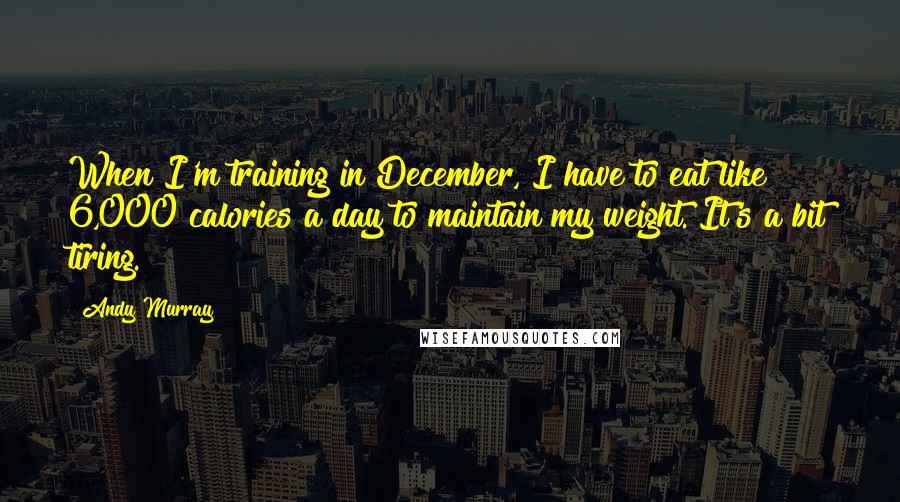 Andy Murray Quotes: When I'm training in December, I have to eat like 6,000 calories a day to maintain my weight. It's a bit tiring.