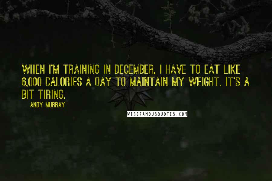 Andy Murray Quotes: When I'm training in December, I have to eat like 6,000 calories a day to maintain my weight. It's a bit tiring.
