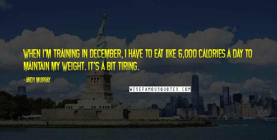 Andy Murray Quotes: When I'm training in December, I have to eat like 6,000 calories a day to maintain my weight. It's a bit tiring.