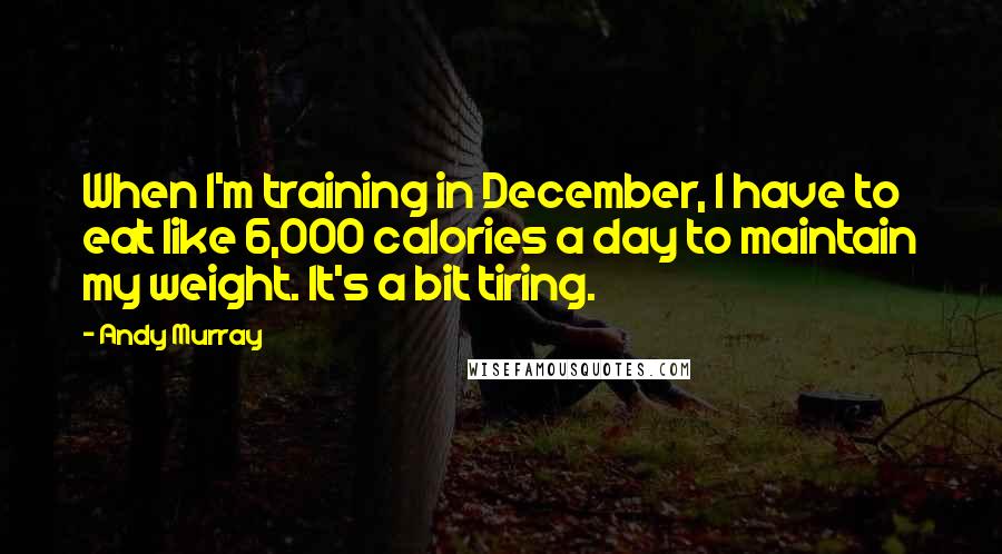 Andy Murray Quotes: When I'm training in December, I have to eat like 6,000 calories a day to maintain my weight. It's a bit tiring.