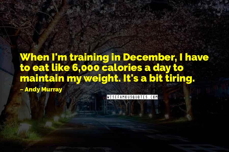 Andy Murray Quotes: When I'm training in December, I have to eat like 6,000 calories a day to maintain my weight. It's a bit tiring.