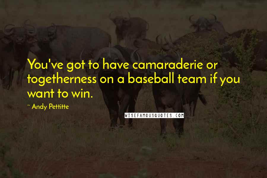 Andy Pettitte Quotes: You've got to have camaraderie or togetherness on a baseball team if you want to win.