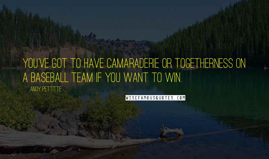 Andy Pettitte Quotes: You've got to have camaraderie or togetherness on a baseball team if you want to win.