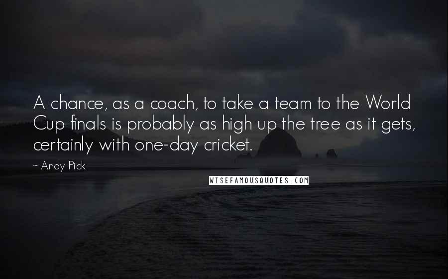 Andy Pick Quotes: A chance, as a coach, to take a team to the World Cup finals is probably as high up the tree as it gets, certainly with one-day cricket.