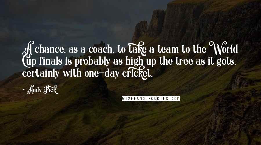 Andy Pick Quotes: A chance, as a coach, to take a team to the World Cup finals is probably as high up the tree as it gets, certainly with one-day cricket.