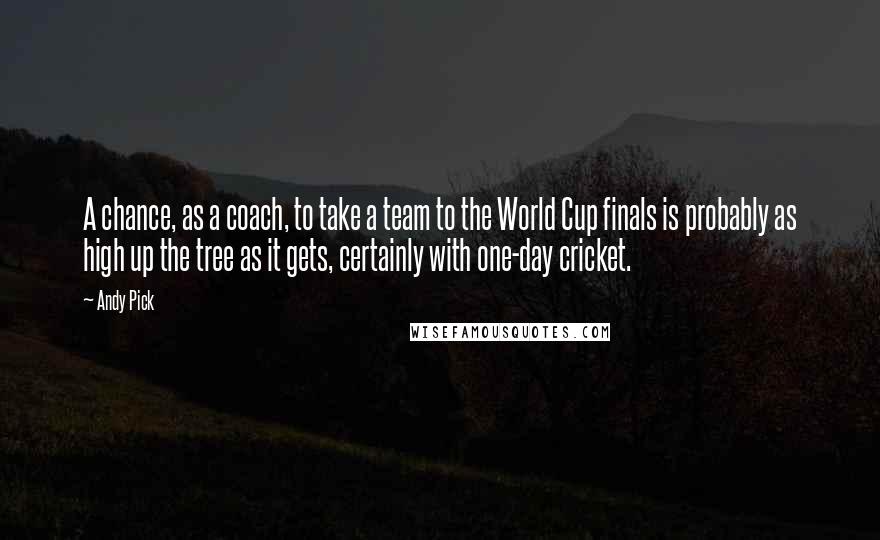 Andy Pick Quotes: A chance, as a coach, to take a team to the World Cup finals is probably as high up the tree as it gets, certainly with one-day cricket.