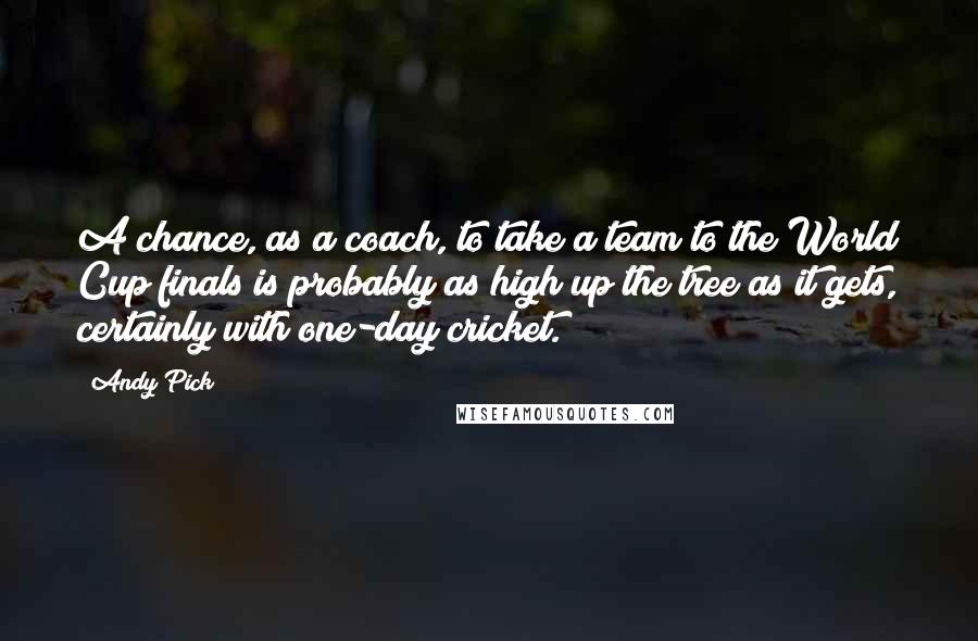 Andy Pick Quotes: A chance, as a coach, to take a team to the World Cup finals is probably as high up the tree as it gets, certainly with one-day cricket.