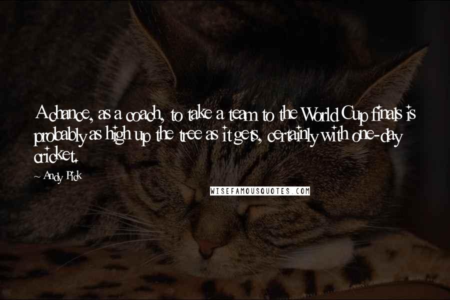 Andy Pick Quotes: A chance, as a coach, to take a team to the World Cup finals is probably as high up the tree as it gets, certainly with one-day cricket.
