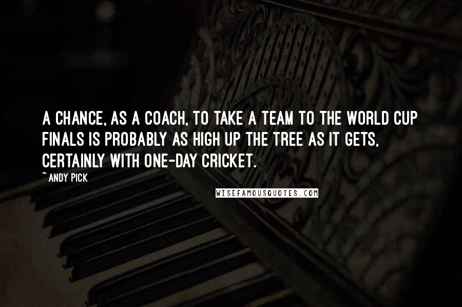 Andy Pick Quotes: A chance, as a coach, to take a team to the World Cup finals is probably as high up the tree as it gets, certainly with one-day cricket.