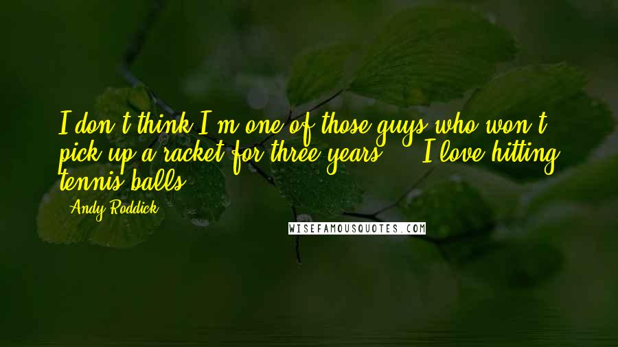 Andy Roddick Quotes: I don't think I'm one of those guys who won't pick up a racket for three years ... I love hitting tennis balls.