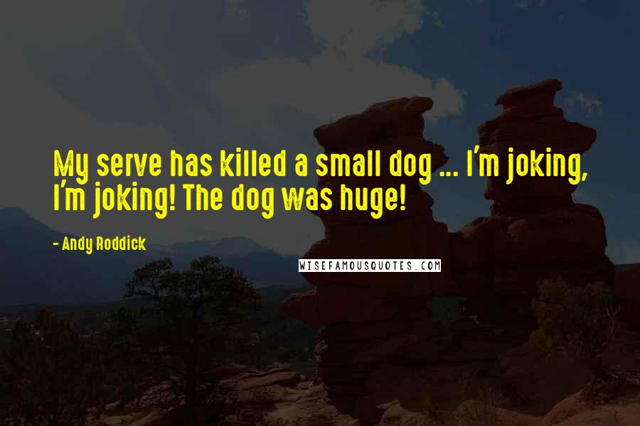 Andy Roddick Quotes: My serve has killed a small dog ... I'm joking, I'm joking! The dog was huge!