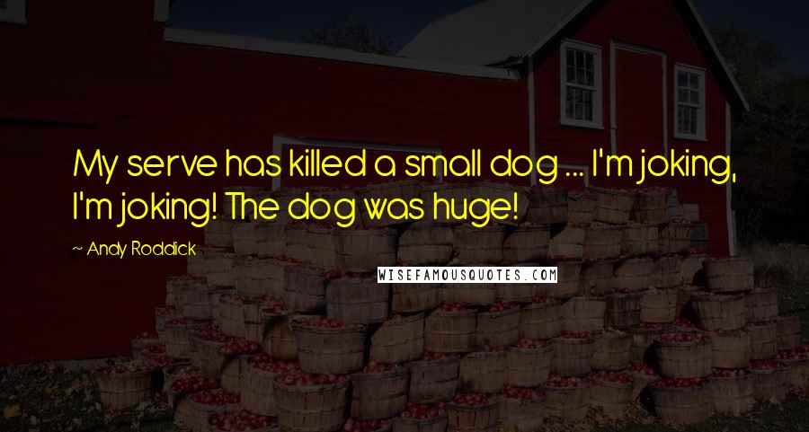 Andy Roddick Quotes: My serve has killed a small dog ... I'm joking, I'm joking! The dog was huge!