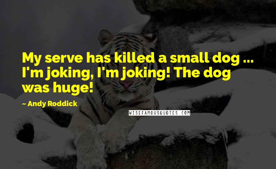 Andy Roddick Quotes: My serve has killed a small dog ... I'm joking, I'm joking! The dog was huge!