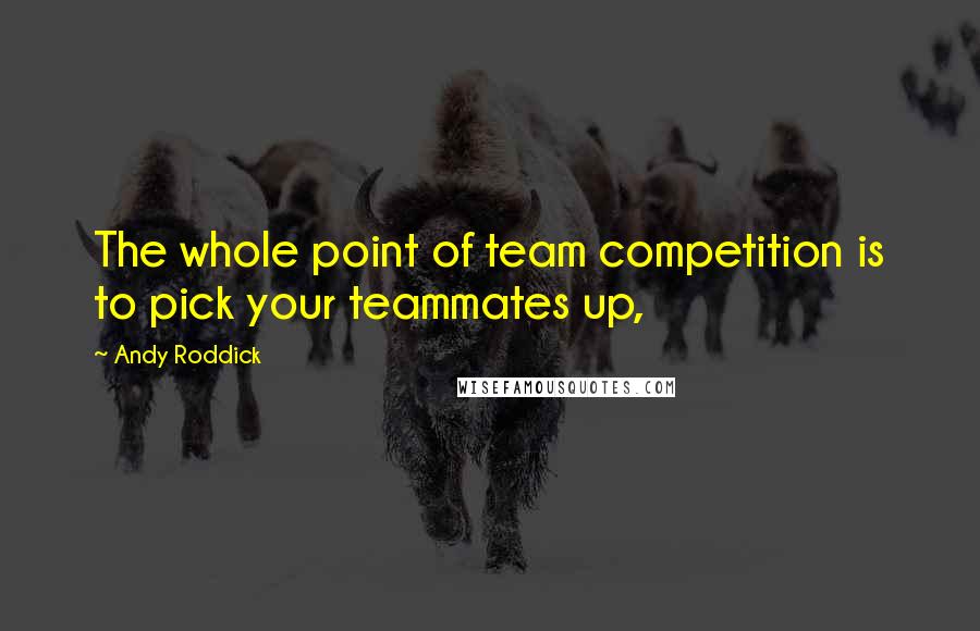 Andy Roddick Quotes: The whole point of team competition is to pick your teammates up,