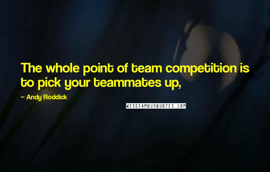 Andy Roddick Quotes: The whole point of team competition is to pick your teammates up,