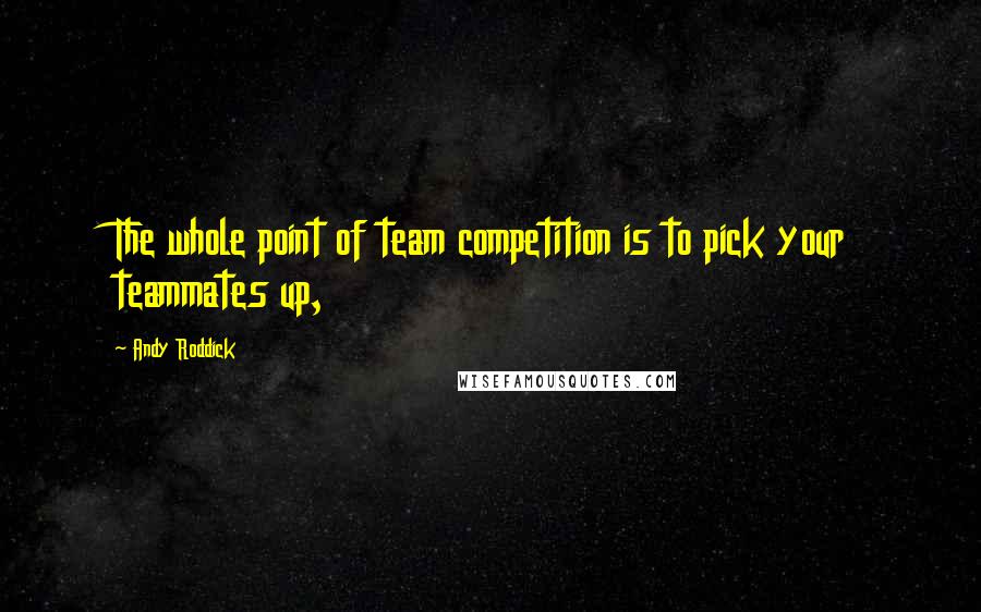 Andy Roddick Quotes: The whole point of team competition is to pick your teammates up,