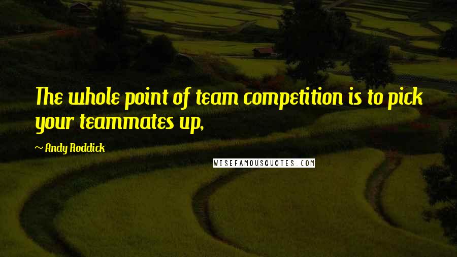 Andy Roddick Quotes: The whole point of team competition is to pick your teammates up,