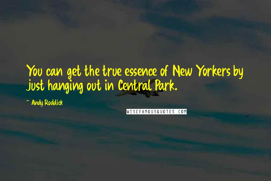 Andy Roddick Quotes: You can get the true essence of New Yorkers by just hanging out in Central Park.