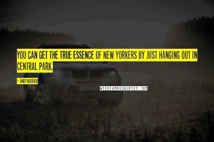 Andy Roddick Quotes: You can get the true essence of New Yorkers by just hanging out in Central Park.