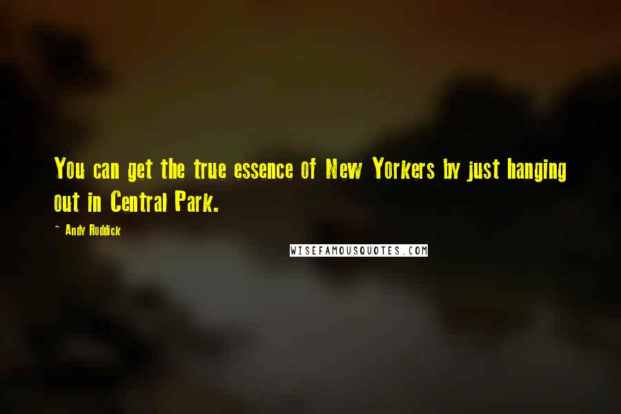 Andy Roddick Quotes: You can get the true essence of New Yorkers by just hanging out in Central Park.