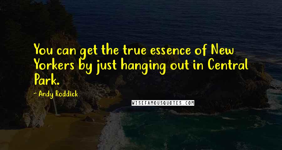 Andy Roddick Quotes: You can get the true essence of New Yorkers by just hanging out in Central Park.