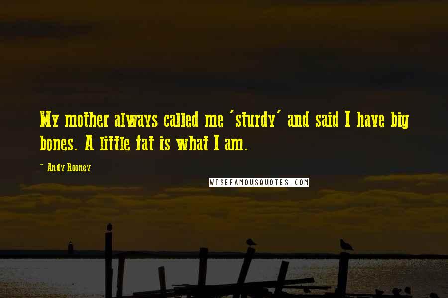 Andy Rooney Quotes: My mother always called me 'sturdy' and said I have big bones. A little fat is what I am.