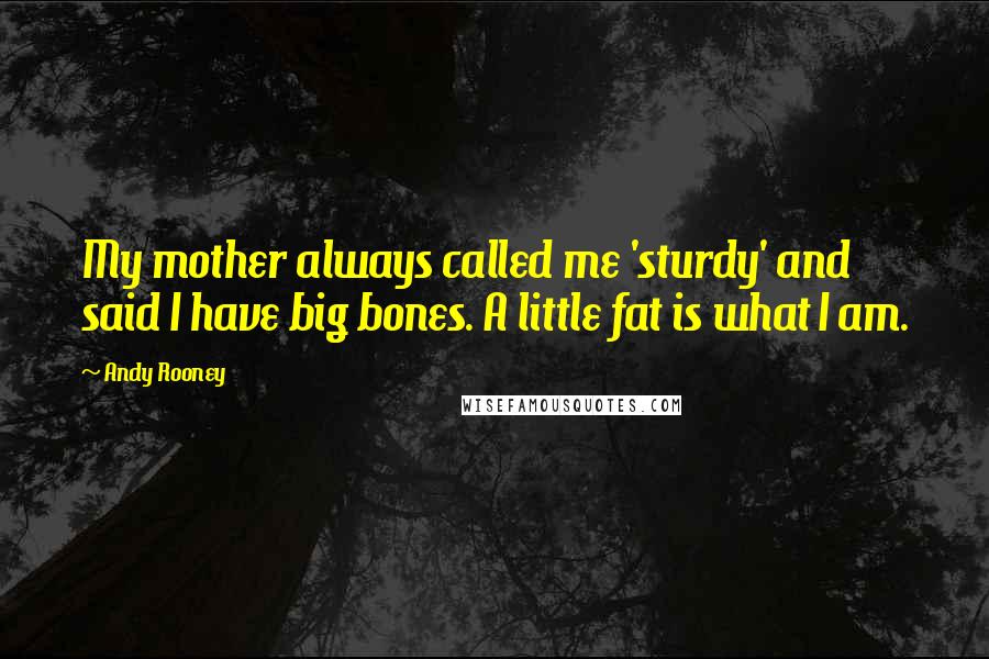 Andy Rooney Quotes: My mother always called me 'sturdy' and said I have big bones. A little fat is what I am.