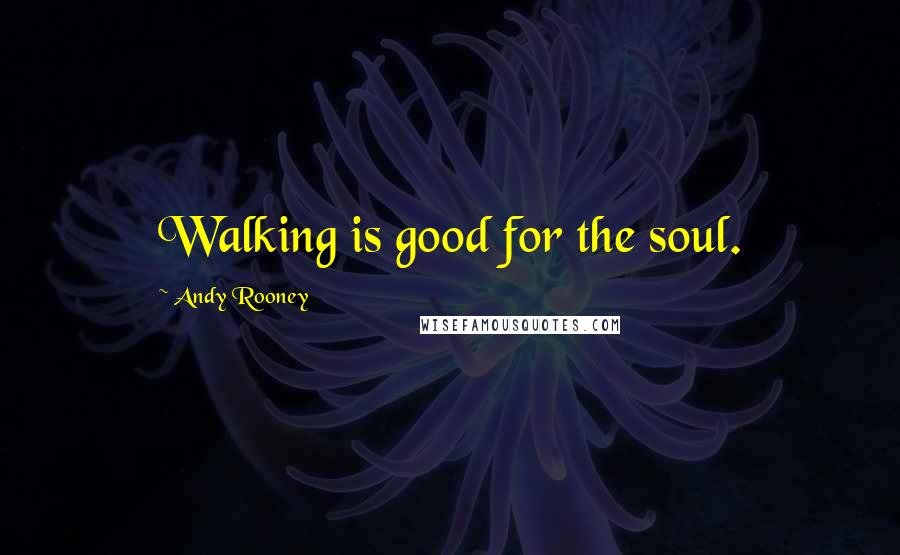 Andy Rooney Quotes: Walking is good for the soul.