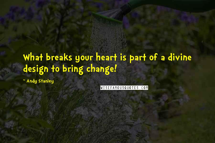 Andy Stanley Quotes: What breaks your heart is part of a divine design to bring change!