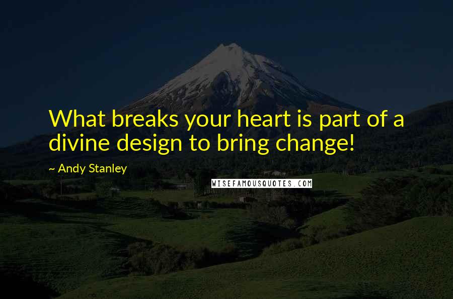 Andy Stanley Quotes: What breaks your heart is part of a divine design to bring change!