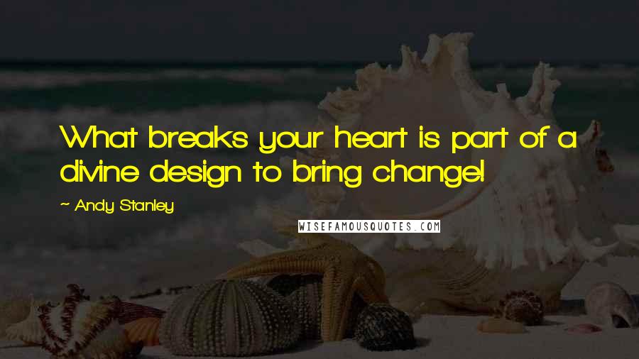 Andy Stanley Quotes: What breaks your heart is part of a divine design to bring change!