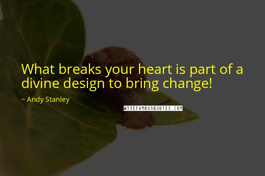 Andy Stanley Quotes: What breaks your heart is part of a divine design to bring change!