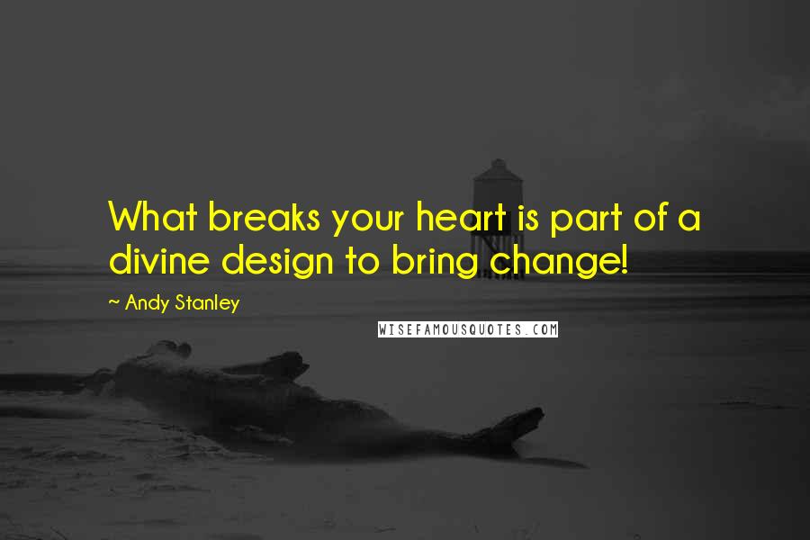 Andy Stanley Quotes: What breaks your heart is part of a divine design to bring change!