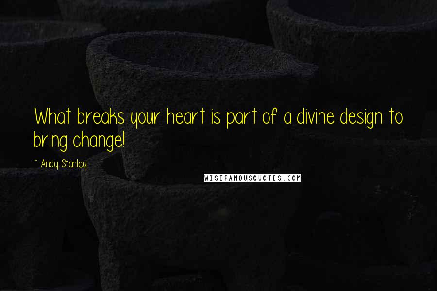 Andy Stanley Quotes: What breaks your heart is part of a divine design to bring change!