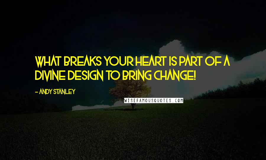 Andy Stanley Quotes: What breaks your heart is part of a divine design to bring change!