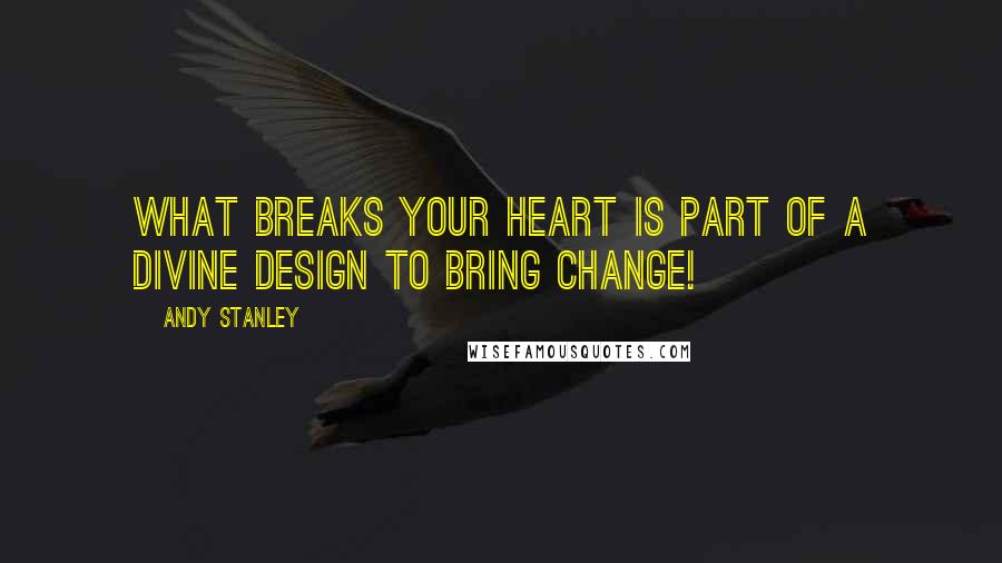 Andy Stanley Quotes: What breaks your heart is part of a divine design to bring change!