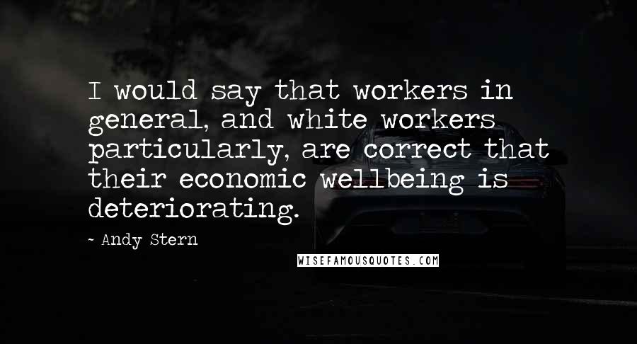 Andy Stern Quotes: I would say that workers in general, and white workers particularly, are correct that their economic wellbeing is deteriorating.