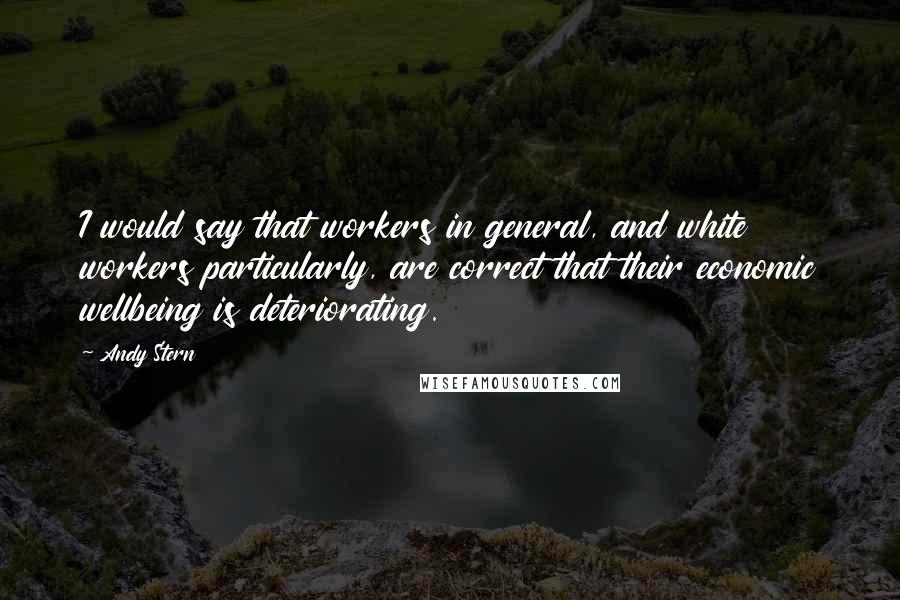 Andy Stern Quotes: I would say that workers in general, and white workers particularly, are correct that their economic wellbeing is deteriorating.