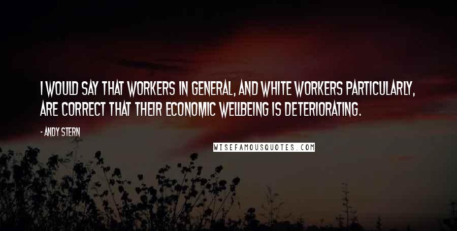 Andy Stern Quotes: I would say that workers in general, and white workers particularly, are correct that their economic wellbeing is deteriorating.