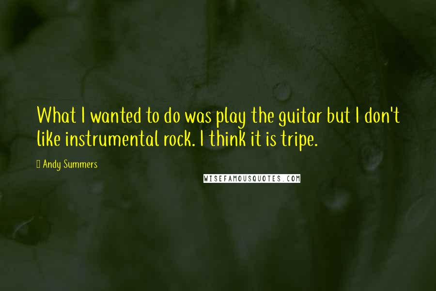Andy Summers Quotes: What I wanted to do was play the guitar but I don't like instrumental rock. I think it is tripe.