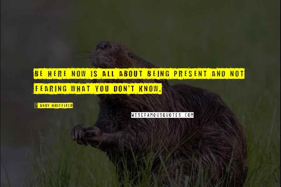 Andy Whitfield Quotes: Be Here Now is all about being present and not fearing what you don't know.