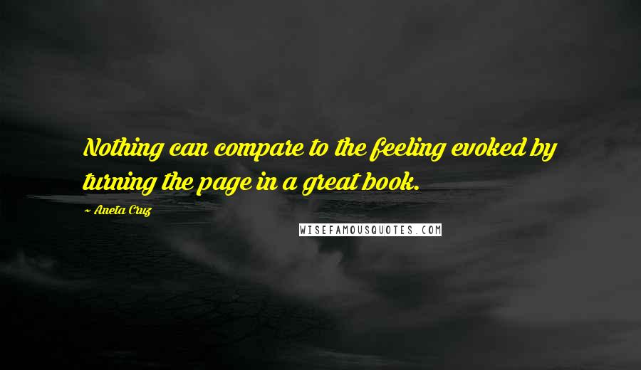 Aneta Cruz Quotes: Nothing can compare to the feeling evoked by turning the page in a great book.