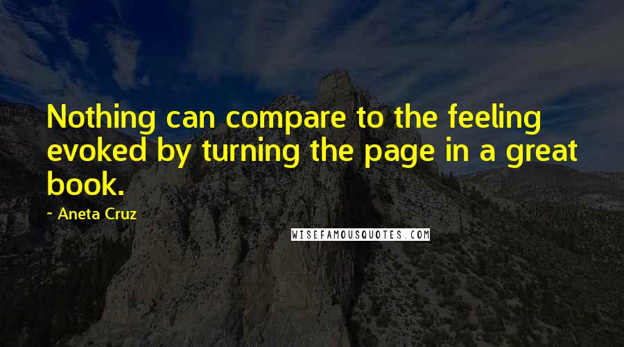 Aneta Cruz Quotes: Nothing can compare to the feeling evoked by turning the page in a great book.