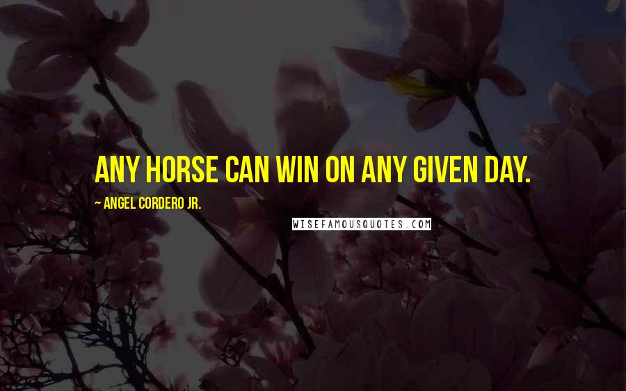 Angel Cordero Jr. Quotes: Any horse can win on any given day.