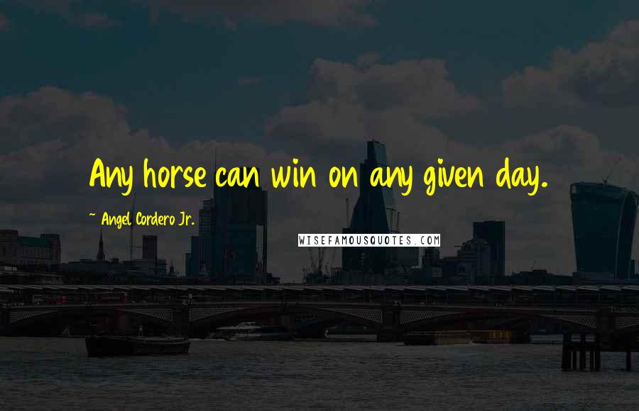 Angel Cordero Jr. Quotes: Any horse can win on any given day.