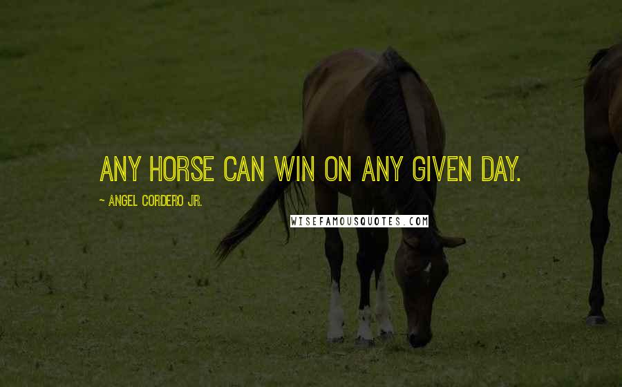 Angel Cordero Jr. Quotes: Any horse can win on any given day.