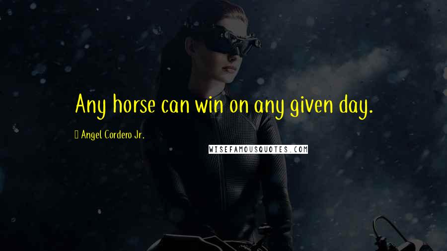 Angel Cordero Jr. Quotes: Any horse can win on any given day.