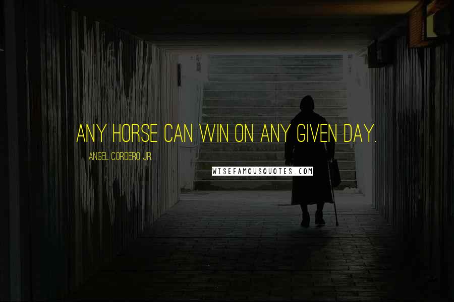 Angel Cordero Jr. Quotes: Any horse can win on any given day.