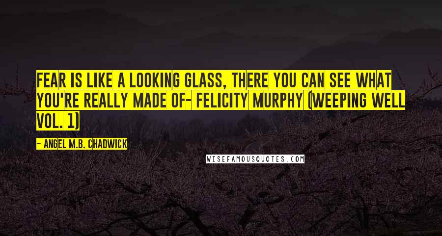 Angel M.B. Chadwick Quotes: Fear is like a looking glass, there you can see what you're really made of- Felicity Murphy (Weeping Well Vol. 1)